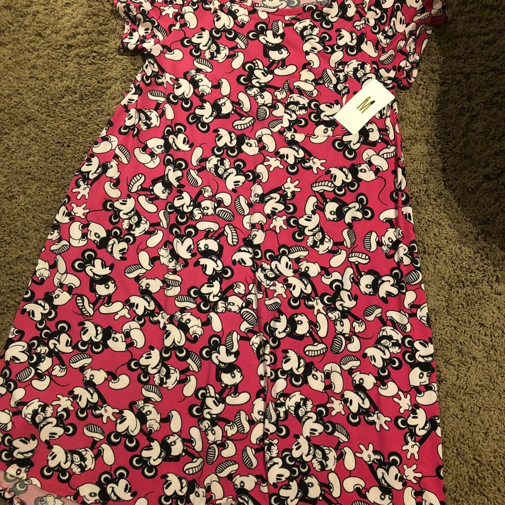 Medium Lularoe Disney Carly Dress